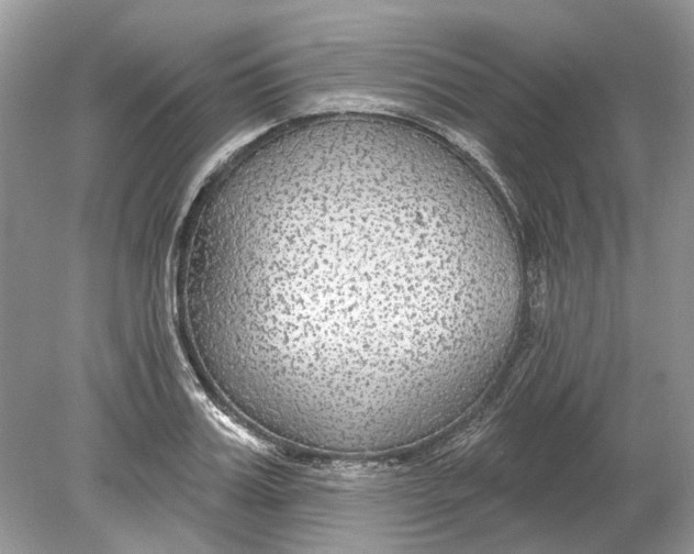 X0000078890987200612042045