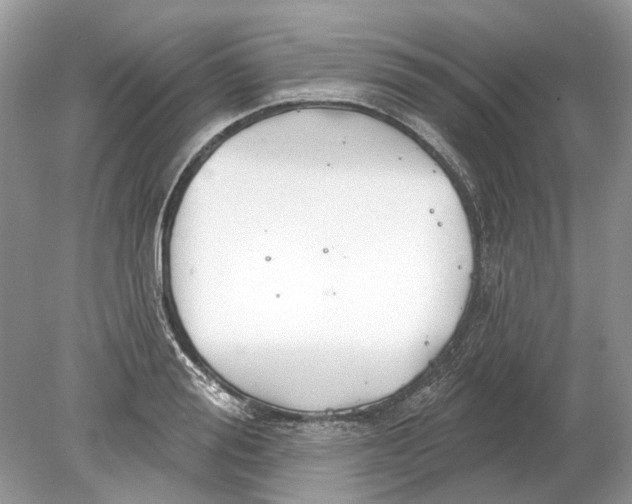 X0000078890988200612042045