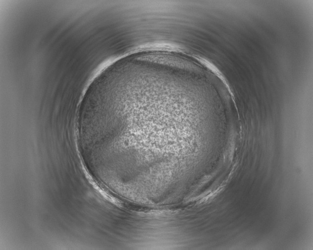 X0000078890989200612042045