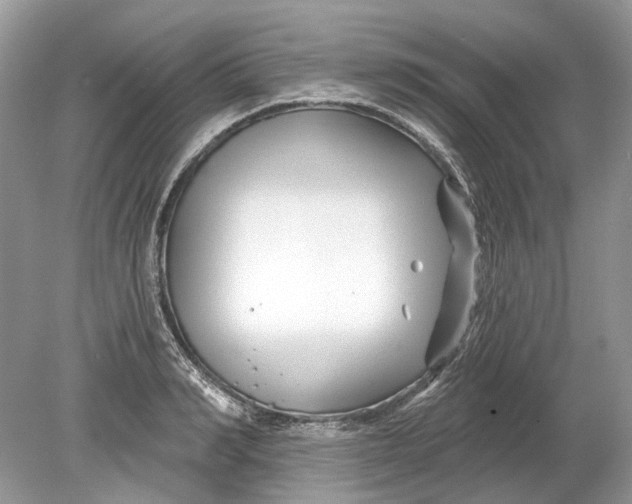 X0000078890990200612042045