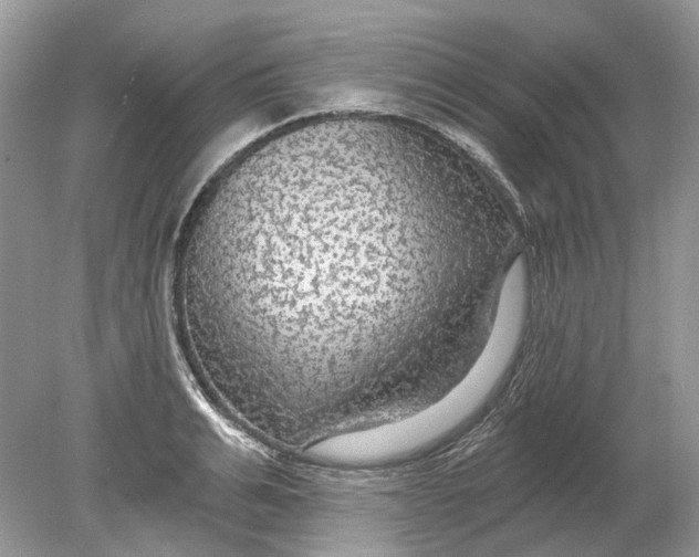 X0000078890991200612042045