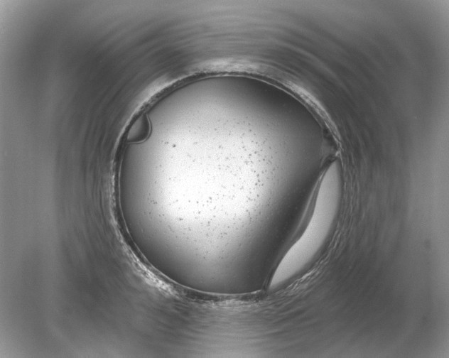 X0000078890992200612042045