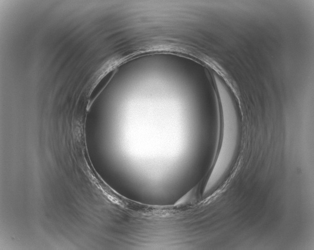 X0000078890993200612042045