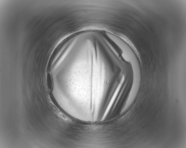 X0000078890996200612042045