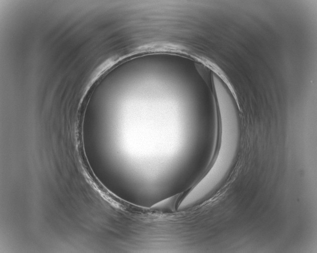 X0000078890997200612042045