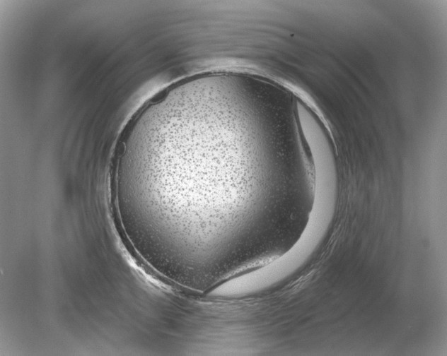 X0000078890999200612042045