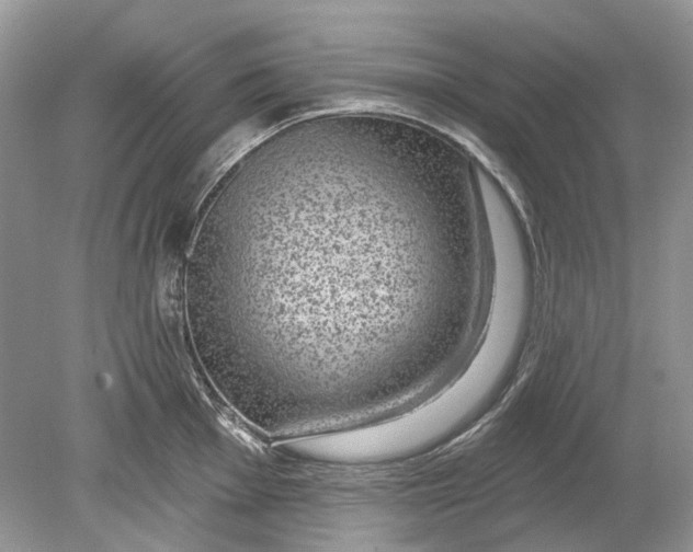 X0000078891001200612042045