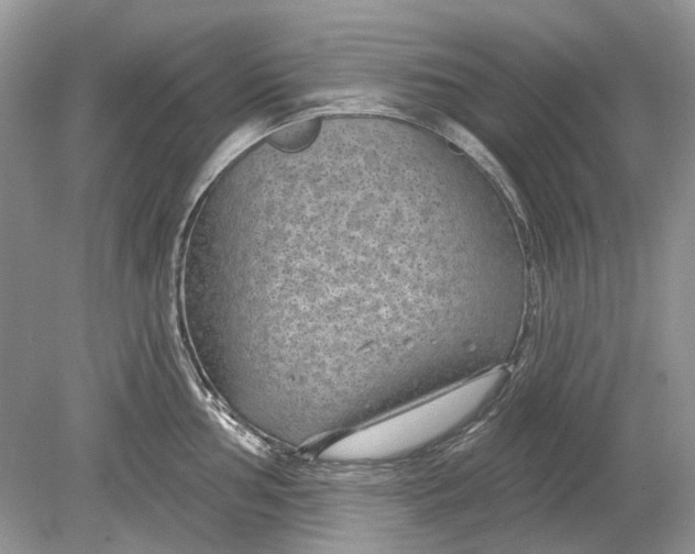 X0000078891002200612042045