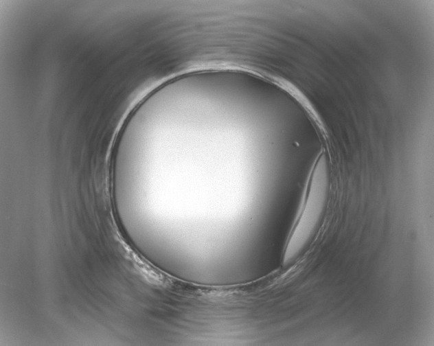 X0000078891004200612042045