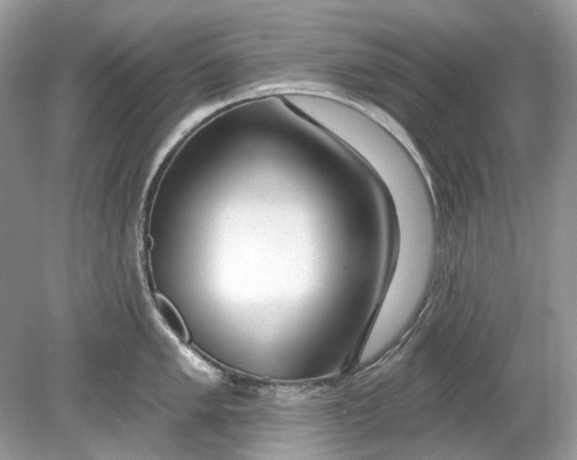 X0000078891005200612042045