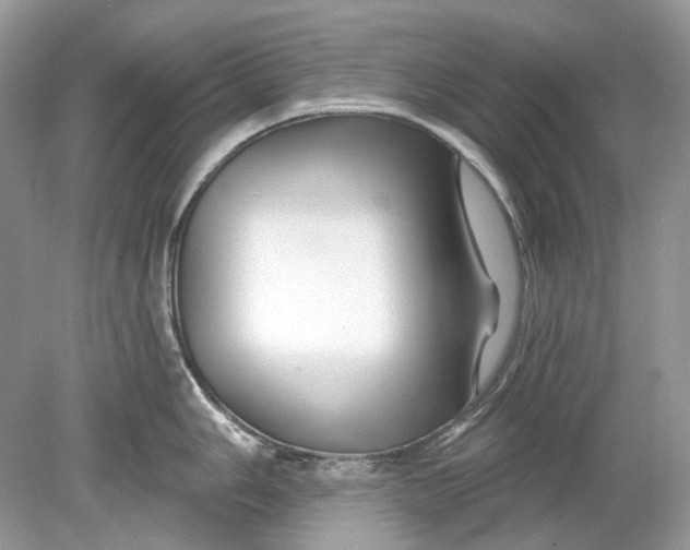 X0000078891006200612042045