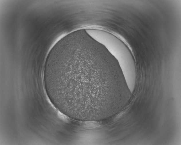 X0000078891007200612042045