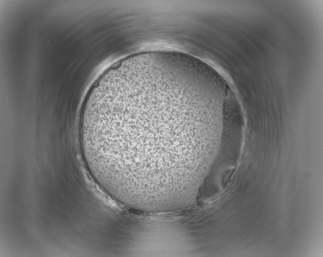 X0000078891008200612042045