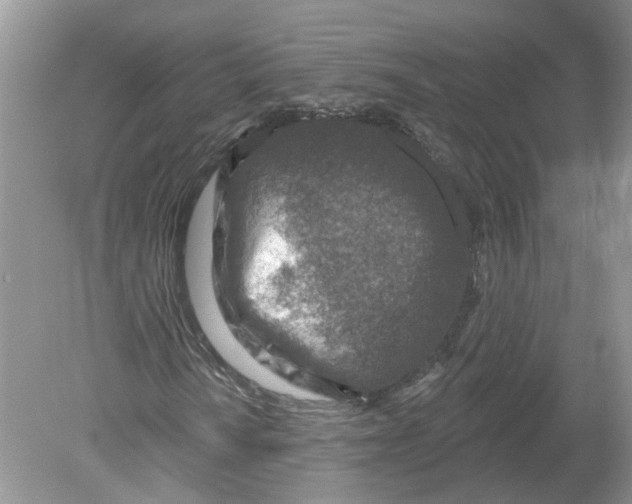 X0000078891010200612042044