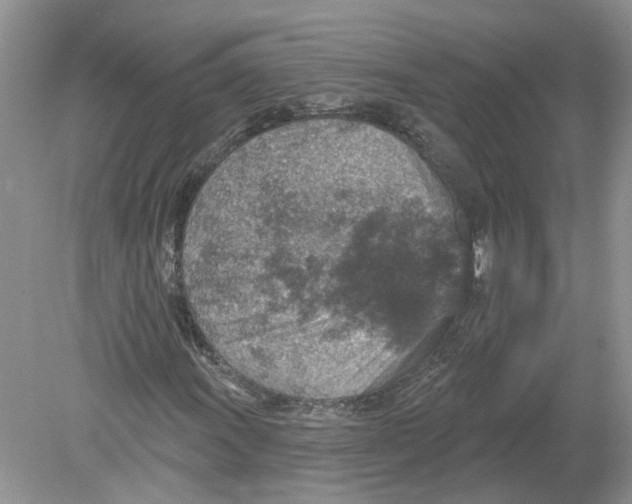 X0000078891011200612042044