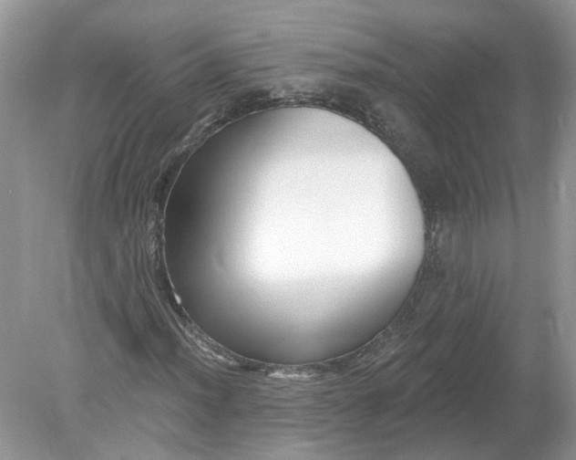 X0000078891012200612042044