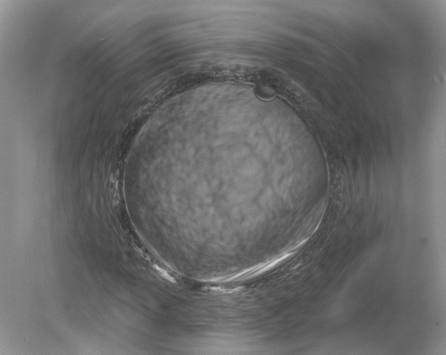 X0000078891013200612042044