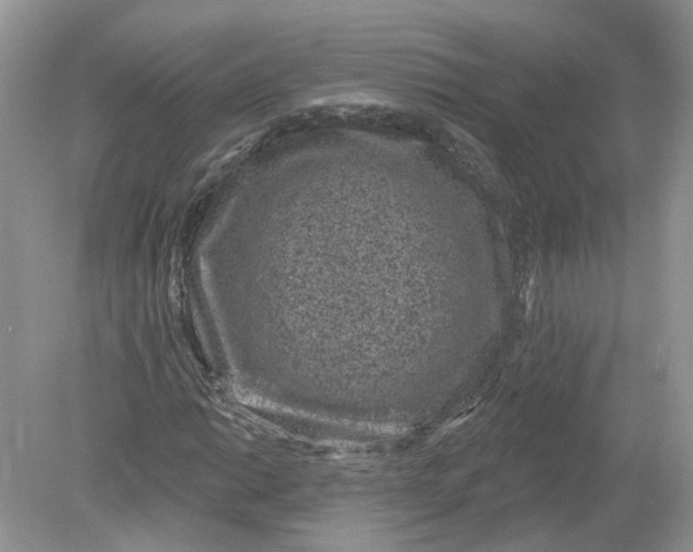 X0000078891014200612042044