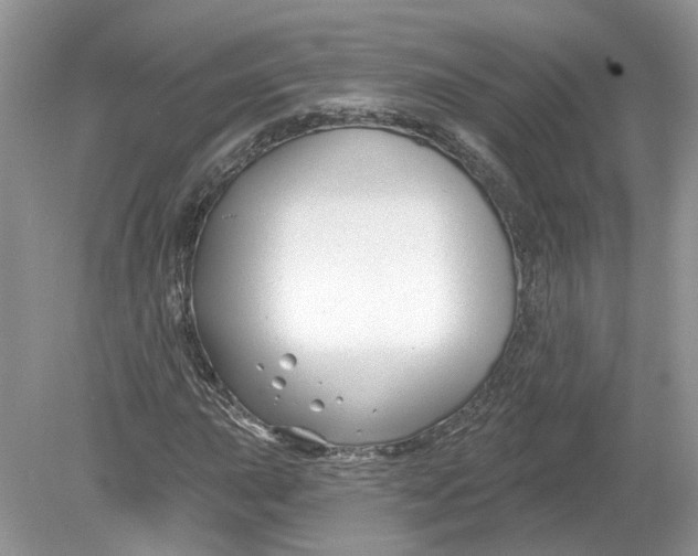 X0000078891015200612042044