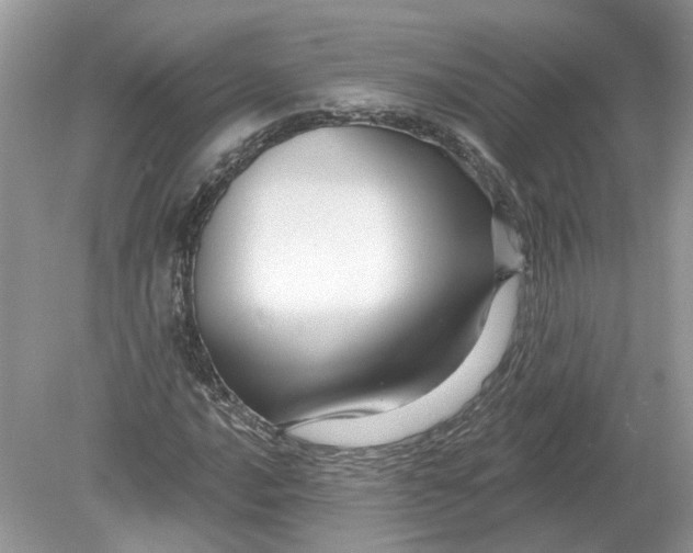 X0000078891016200612042044