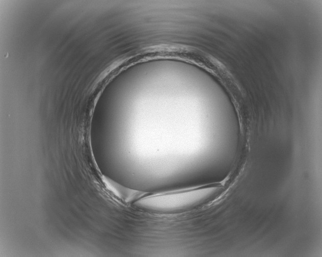 X0000078891017200612042044