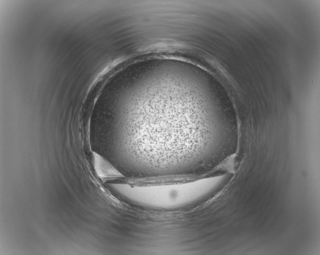 X0000078891018200612042044