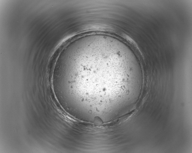 X0000078891019200612042044