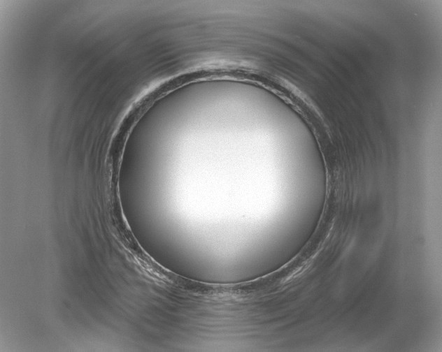 X0000078891021200612042044