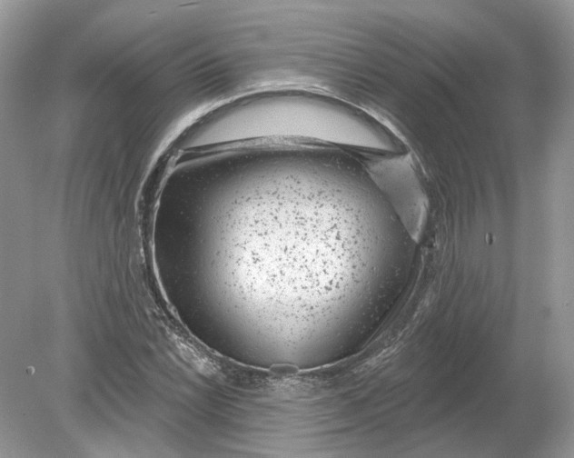 X0000078891022200612042044