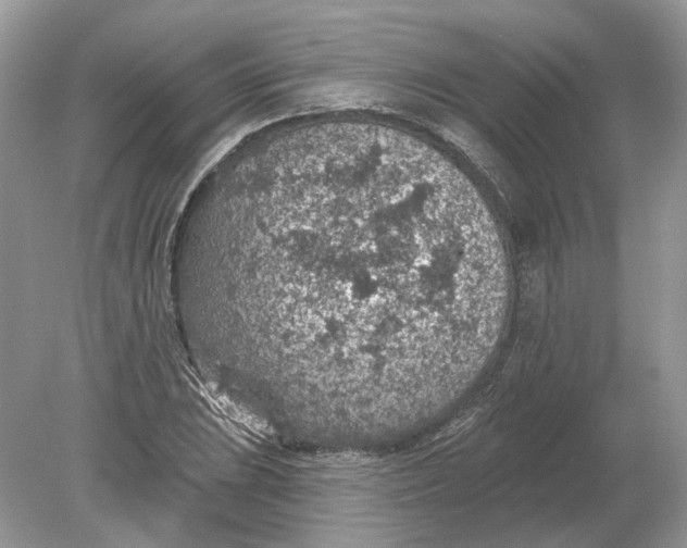 X0000078891023200612042045