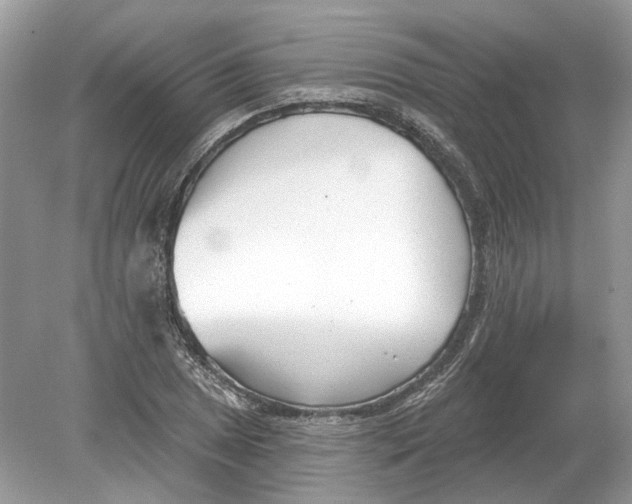 X0000078891025200612042045