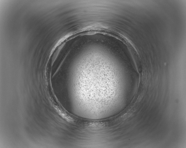 X0000078891026200612042045