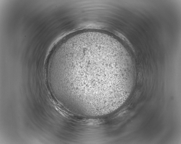 X0000078891027200612042045