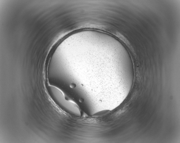 X0000078891028200612042045