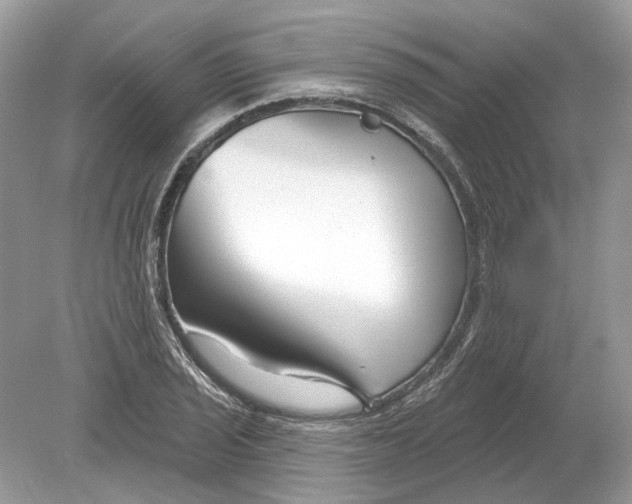 X0000078891029200612042045