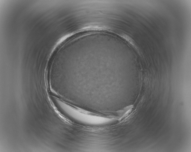 X0000078891030200612042045