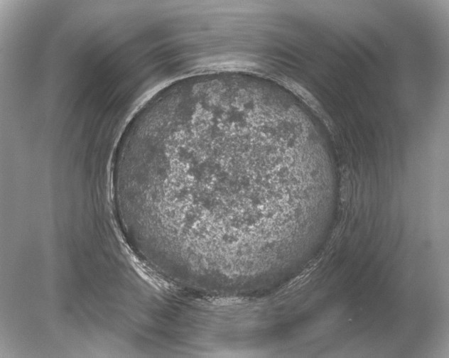 X0000078891031200612042045