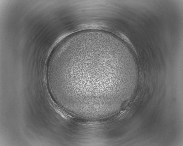 X0000078891035200612042045