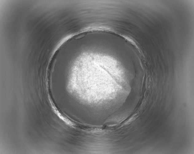 X0000078891038200612042045