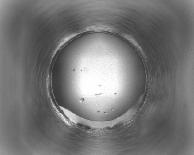 X0000078891040200612042045