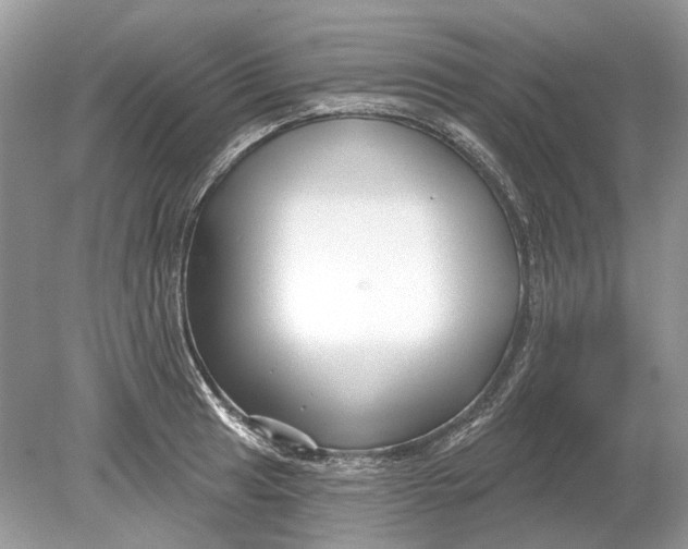 X0000078891041200612042045