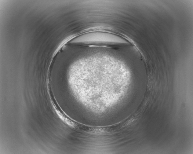 X0000078891042200612042045