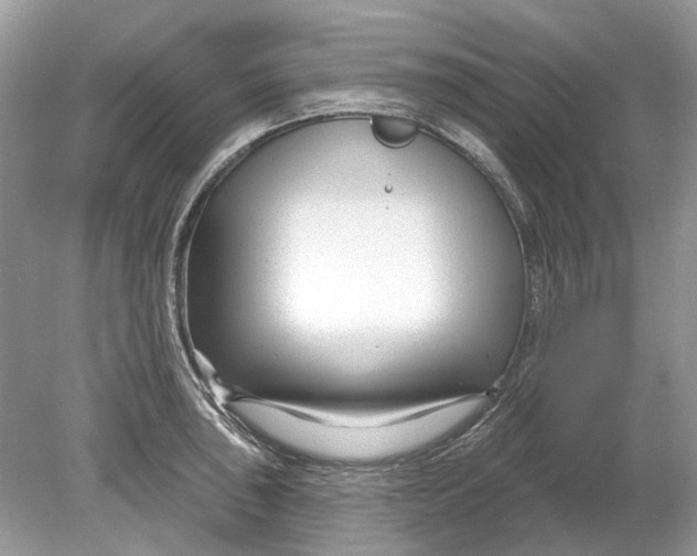 X0000078891043200612042045