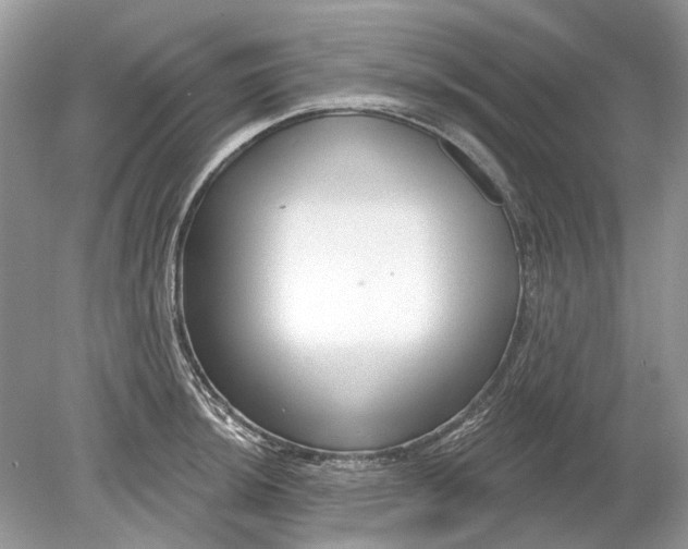 X0000078891044200612042045