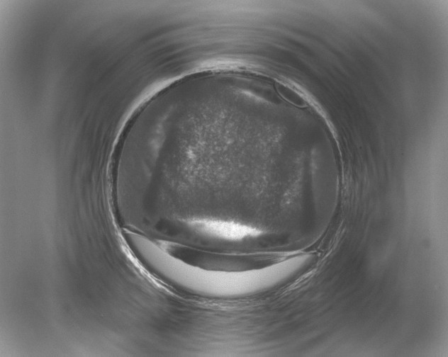 X0000078891045200612042045