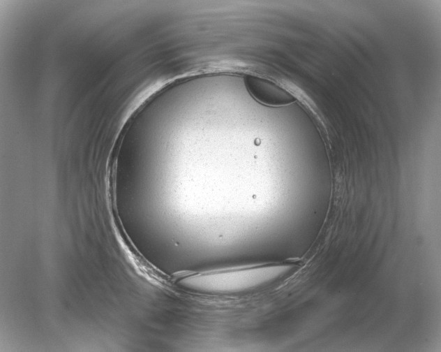 X0000078891047200612042045