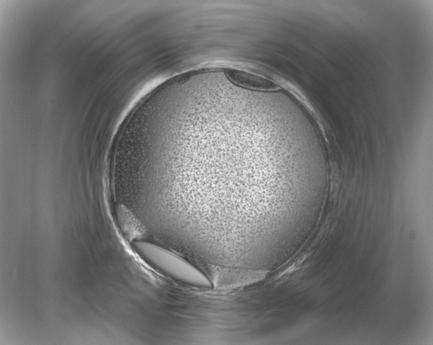 X0000078891048200612042045