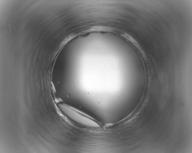 X0000078891049200612042045