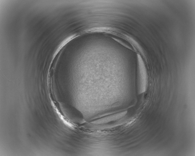 X0000078891050200612042045