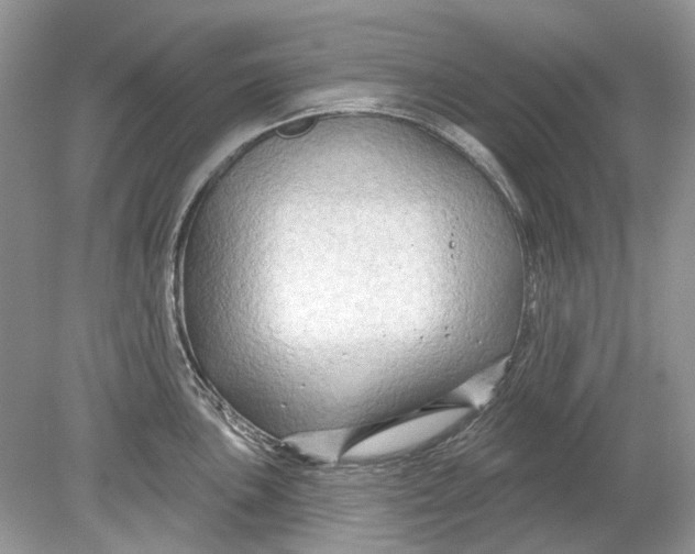 X0000078891051200612042045